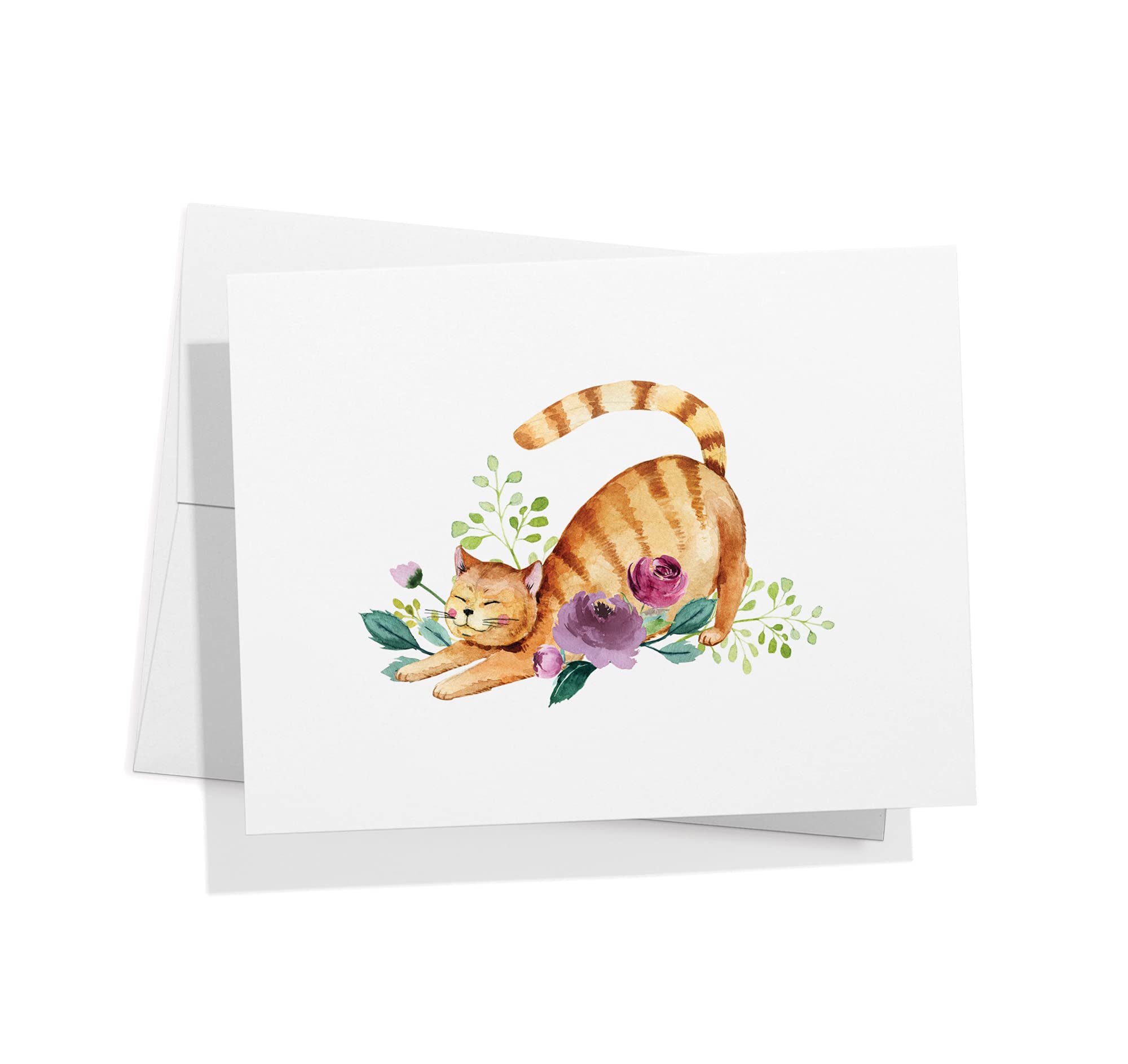 Twigs Paper - 12-Pack Assorted Cat Greeting Cards with Envelopes (5.5x4.25 in) - Blank Note Cards for Thank You, Birthday & All Occasions - USA Made Stationery - Perfect for Cat Lovers, Pet Owners & Handwritten Notes