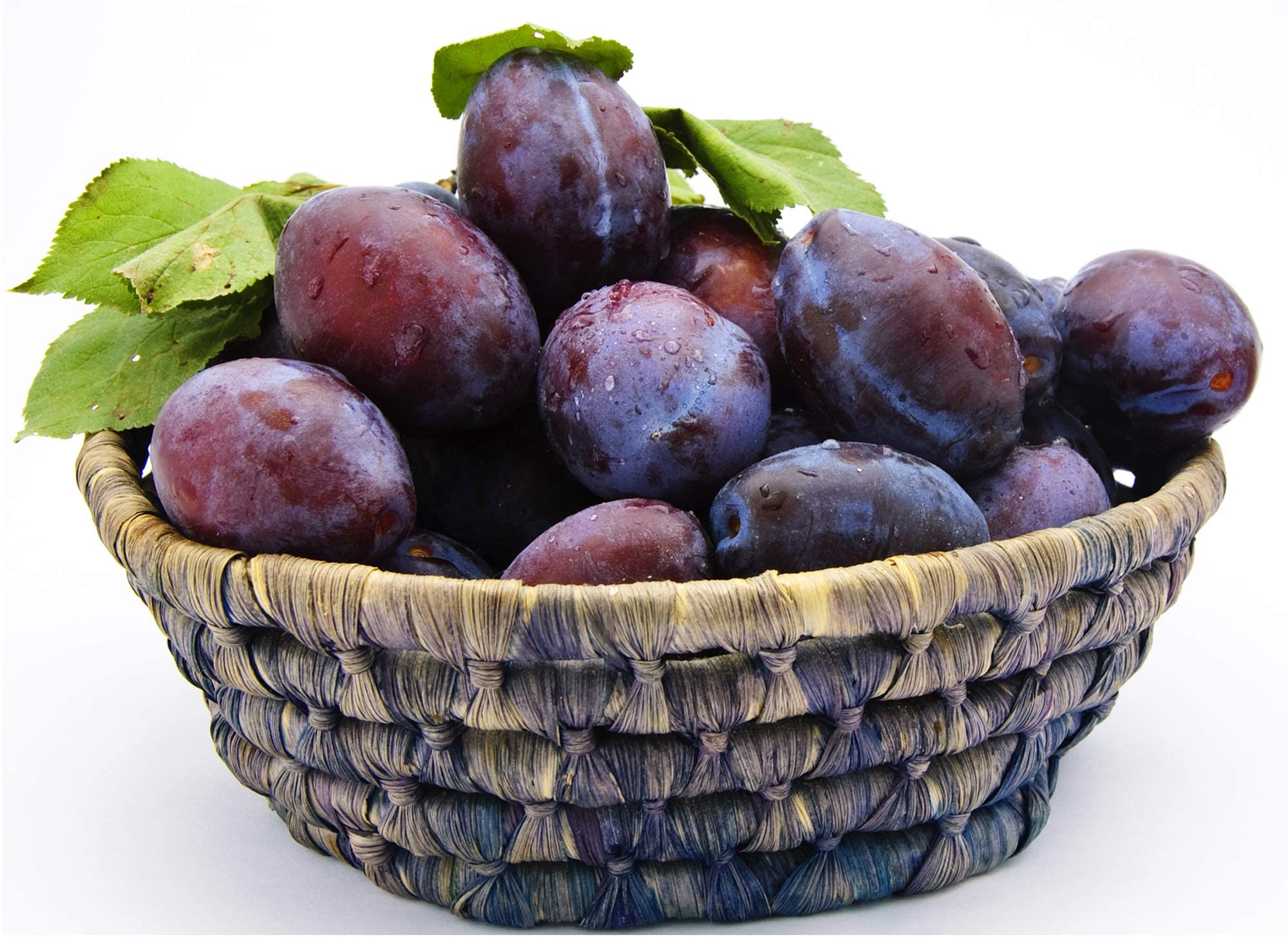 Premium Mariani Pitted Prunes - Natural Dried Fruit Snacks for Kids & Adults | Vegan, Gluten Free, No Sugar Added | Healthy On-the-Go Snack for Work, School & Travel | 36oz Pack (1 Count)