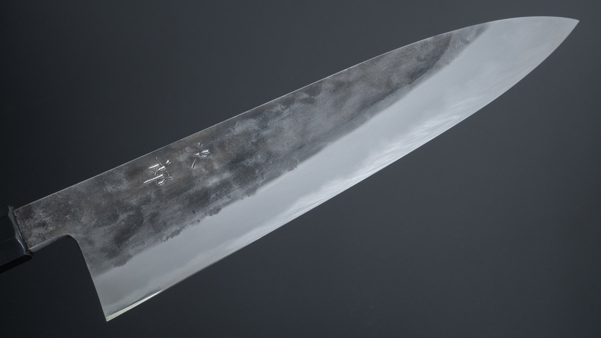 Premium Jiro Tsuchime Wa Gyuto 255mm Japanese Chef Knife with Taihei Tagayasan Handle (#264) - Perfect for Sushi, Meat Slicing & Professional Kitchen Use