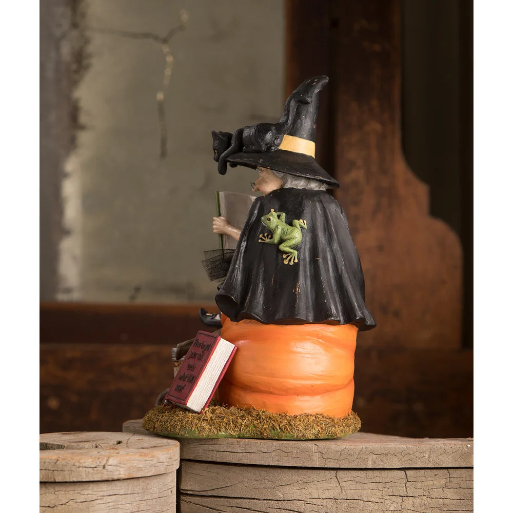 Bethany Lowe Designs Black Cat Witch Training Guide - Halloween Decor & Witchcraft Accessories for Spooky Home & Party Themes