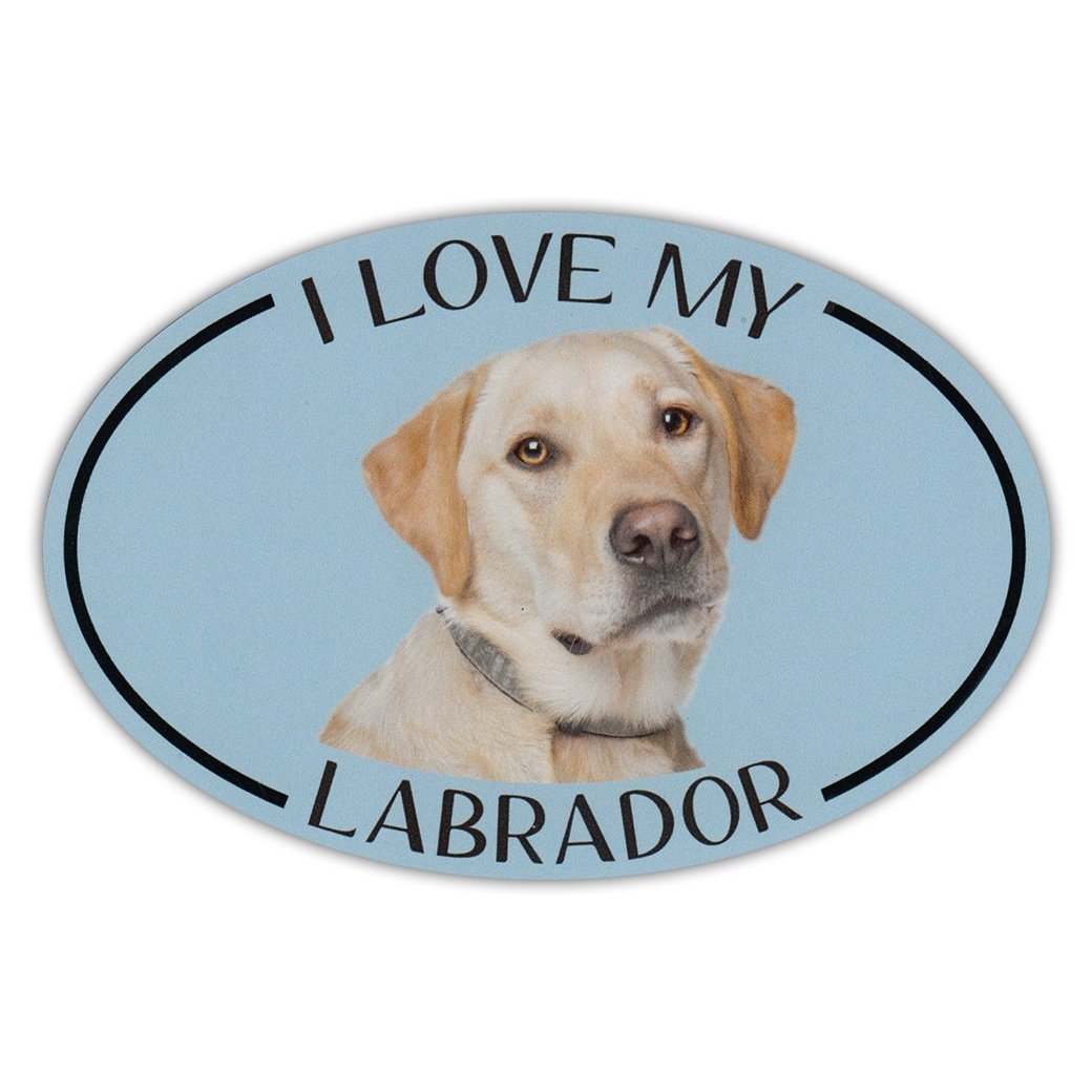 Yellow Lab Refrigerator Magnet - 6x4 Inch Dog Lover Gift for Home & Office