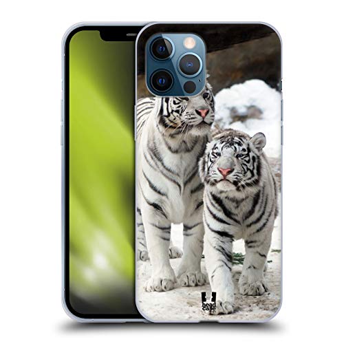 Two White Tigers