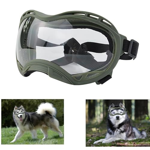 Green Frame & Clear Lens/Small