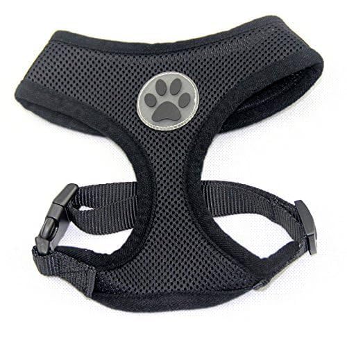 BINGPET Small Dog Harness - Breathable Mesh No-Pull Adjustable Vest for Puppies & Cats - Comfortable Pet Harness for Small to Medium Dogs - Perfect for Walking, Hiking, and Outdoor Adventures