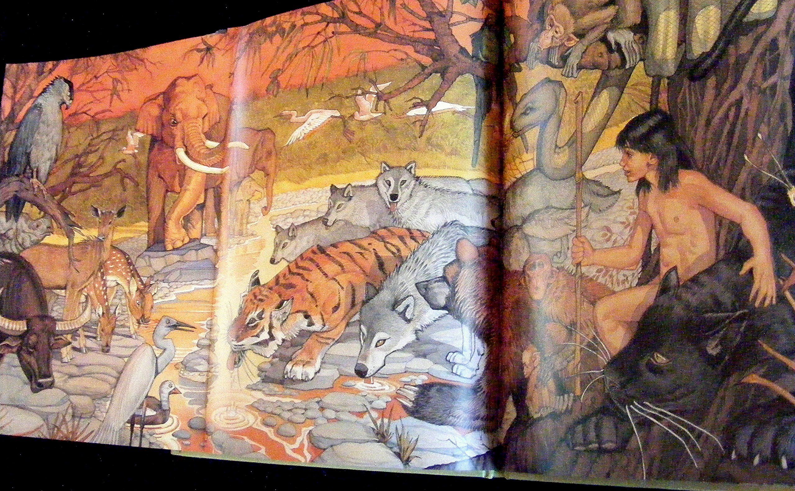 The Jungle Book - Classic Adventure Novel for Kids & Adults | Perfect for Bedtime Reading, Gifts & Classroom Storytime