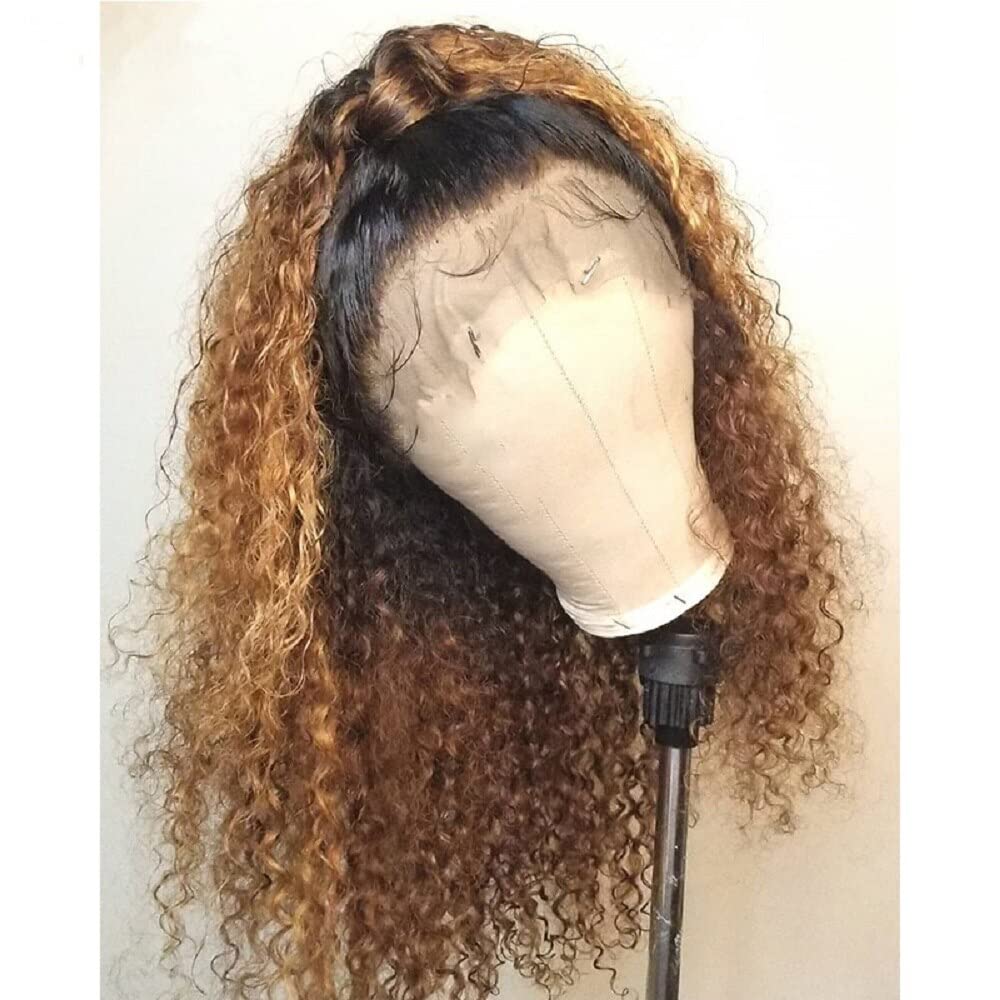 180% Density Ombre Curly Human Hair Wigs - 100% Brazilian Kinky Curly Virgin Hair - 5x5 Lace Front Wig with PU Scalp - 1BT4/27 Color - 10 Inch Length - Perfect for Daily Wear, Parties & Special Occasions