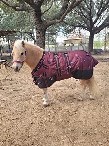 Burgundy Snowflake