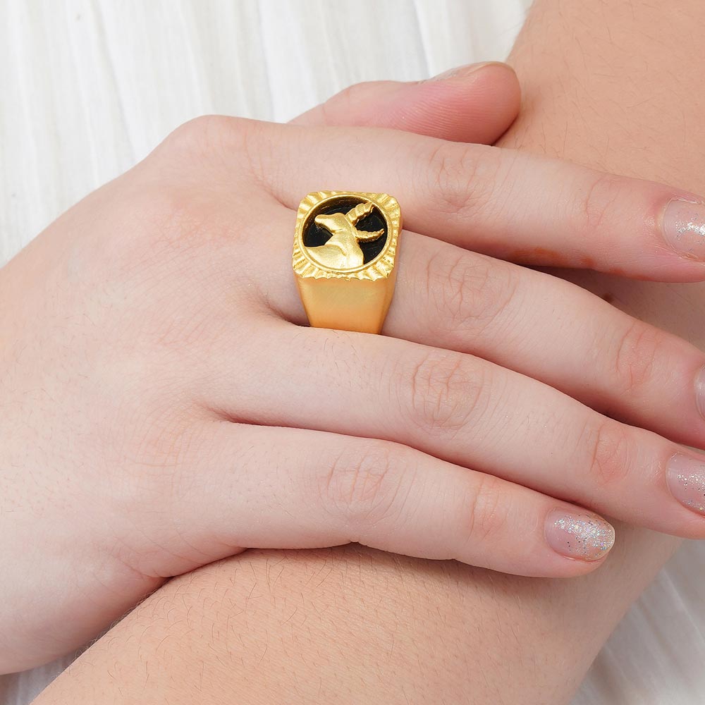Linked Zodiac Rings for Men & Women - Stylish Couple Rings for Birthdays, Anniversaries & Gifts | Perfect for Romantic Occasions & Everyday Wear
