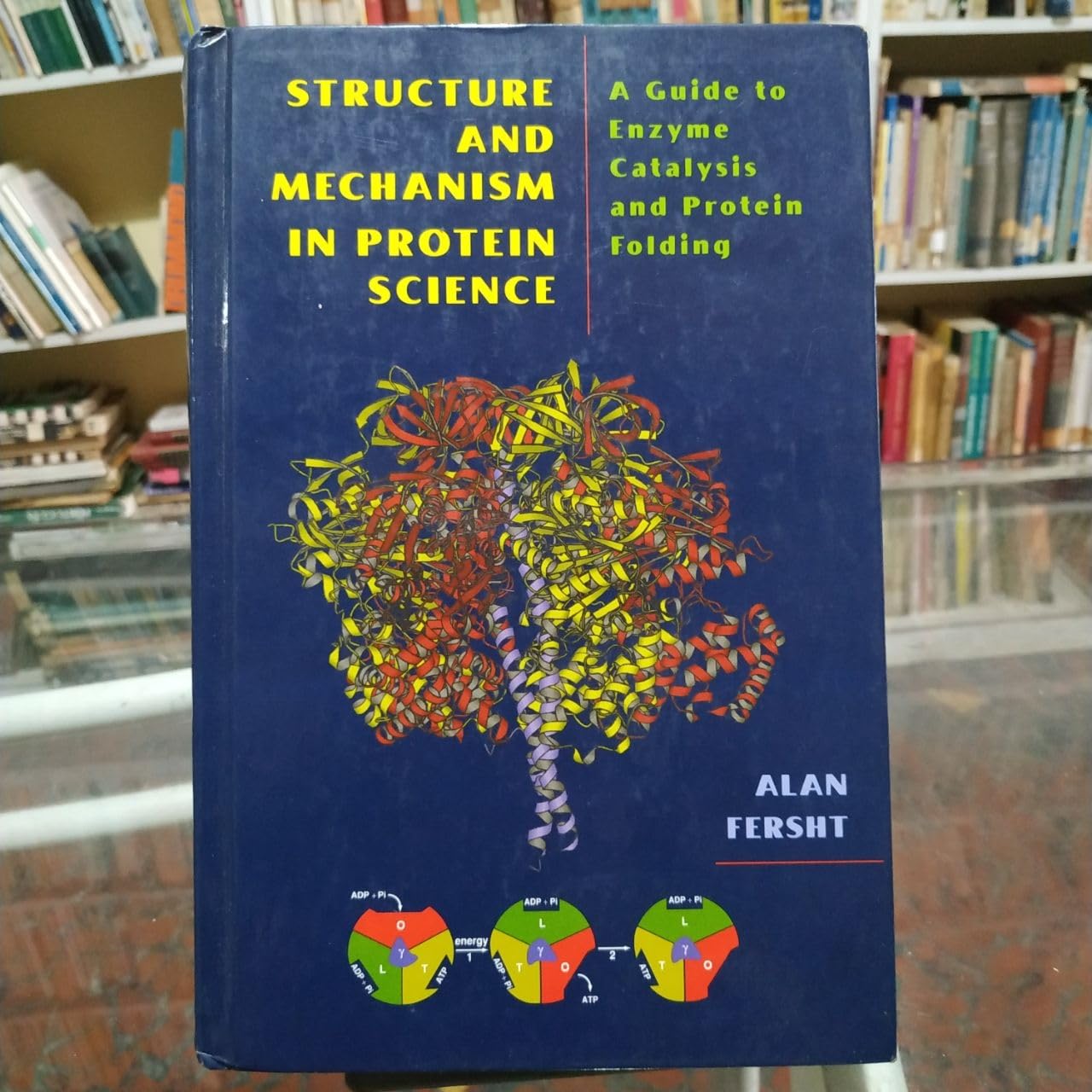 Structure and Mechanism in Protein Science: Guide to Enzyme Catalysis & Protein Folding | Biochemistry Textbook for Students & Researchers | Lab Reference & Academic Study