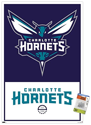 Poster & Push Pin Bundle