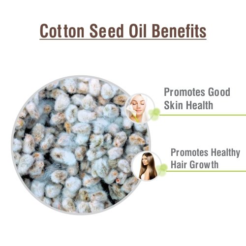 100% Pure & Natural Salvia Cotton Seed Oil - Undiluted Carrier Oil for Aromatherapy & Massage | Therapeutic Grade Essential Oil (50ml) | Perfect for DIY Skincare, Hair Care & Relaxation Therapy