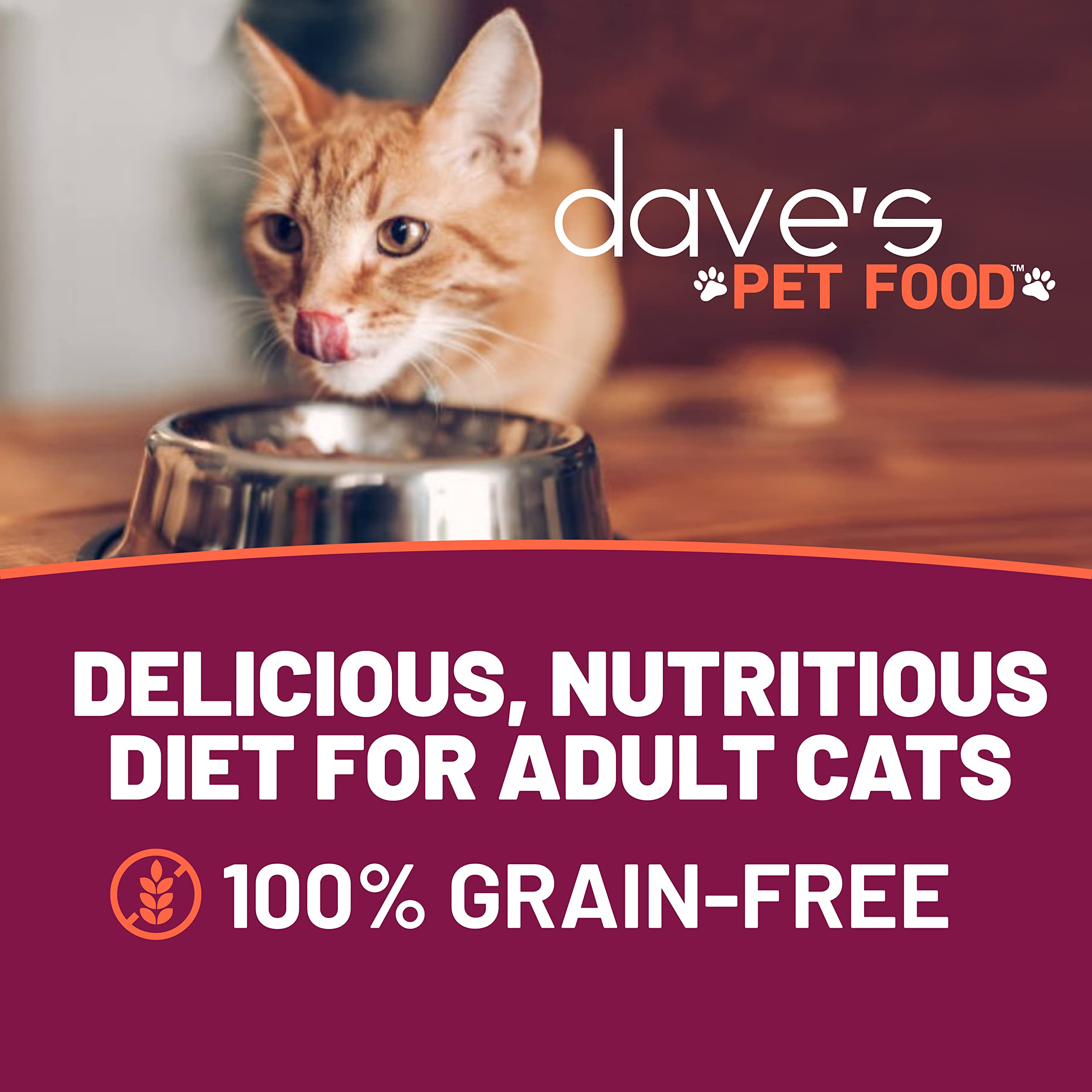 **Dave's Grain-Free Turkey Pate Wet Cat Food - Made in USA, Natural & Healthy Canned Cat Food with Added Vitamins & Minerals, Carrageenan-Free, 5.5 oz (24-Pack) - Perfect for Indoor Cats & Sensitive Stomachs**