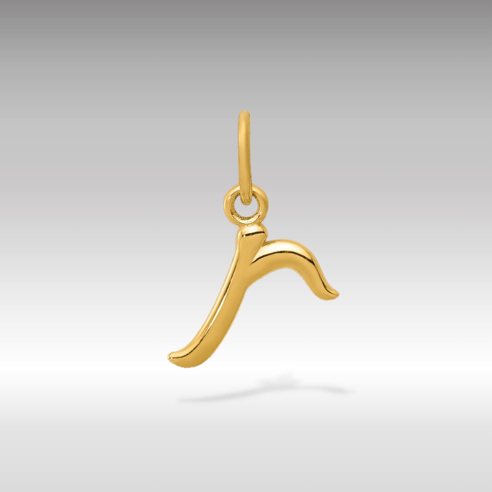 Gold Lowercase Initial 'r' Pendant Necklace - Model YC1060 | Elegant Personalized Jewelry for Women, Perfect for Gifts, Birthdays & Everyday Wear