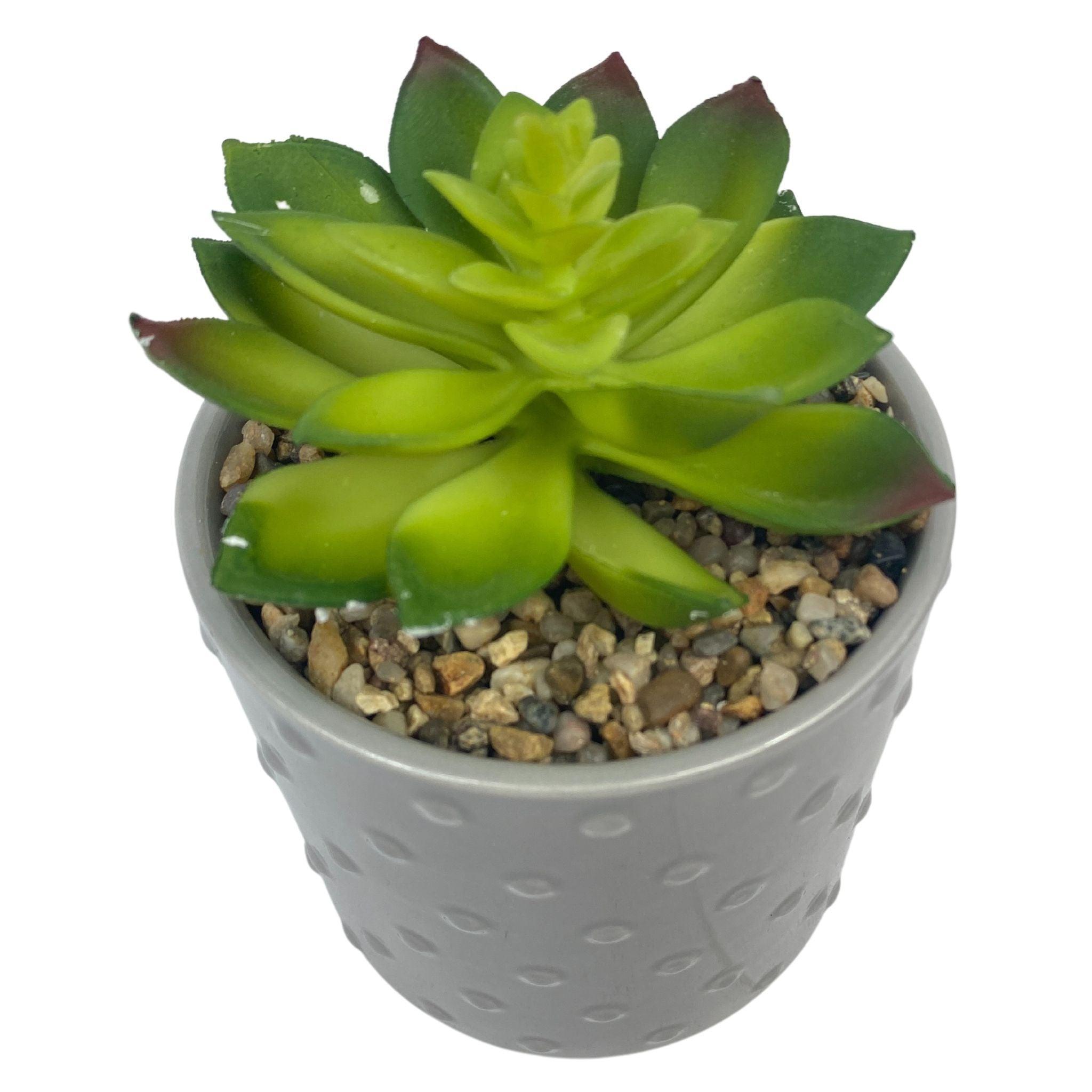 40 Pcs Grey Dotted Ceramic Plant Pots for Succulents - Small Decorative Flower Pots for Indoor Plants, Home Garden Decor, Office Desk Decorations