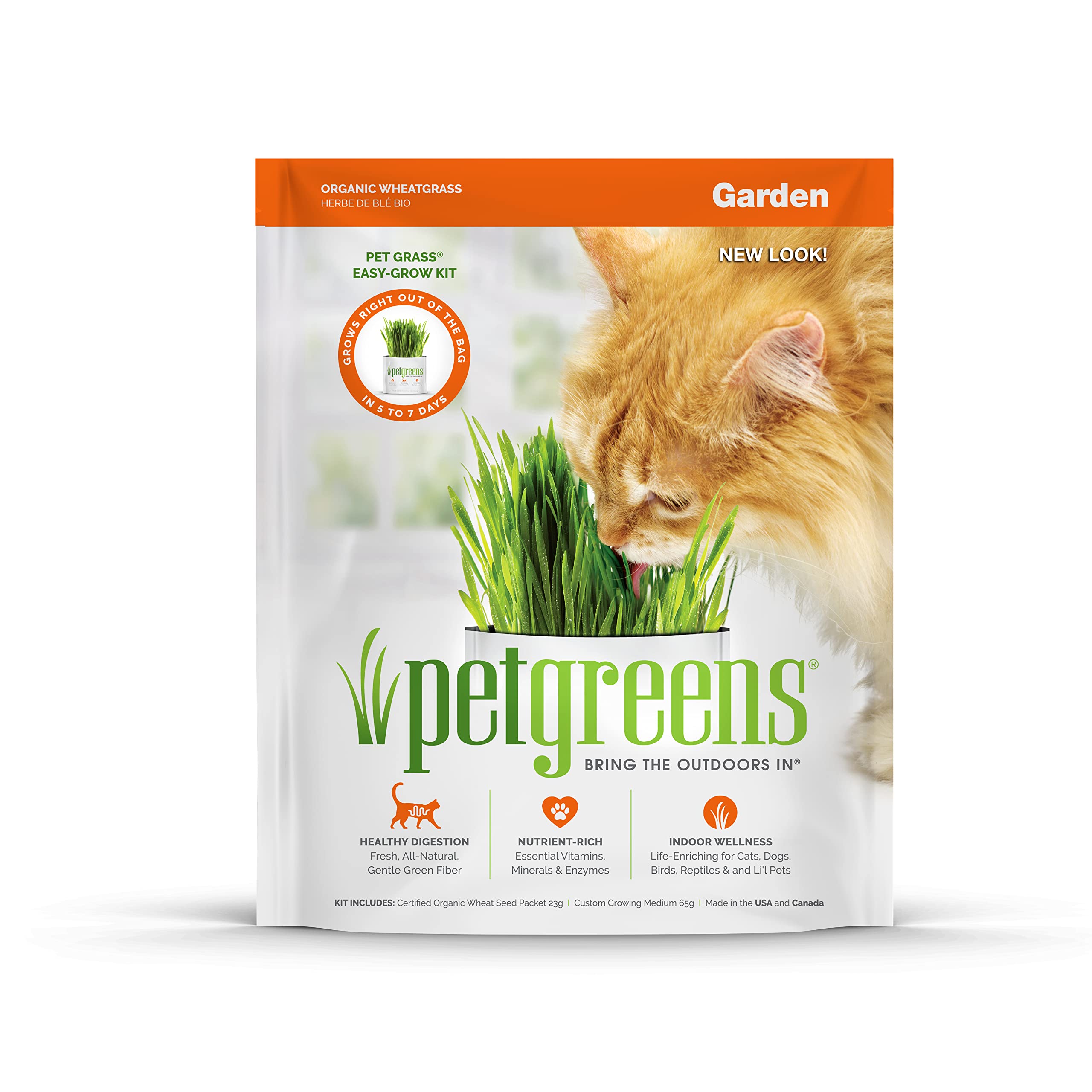 Organic Pet Greens Self-Grow Cat Grass Kit - Fresh Wheatgrass for Indoor Cats & Dogs - Healthy Digestive Aid & Natural Hairball Relief - Perfect for Window Sills, Pet Play Areas & Home Decor