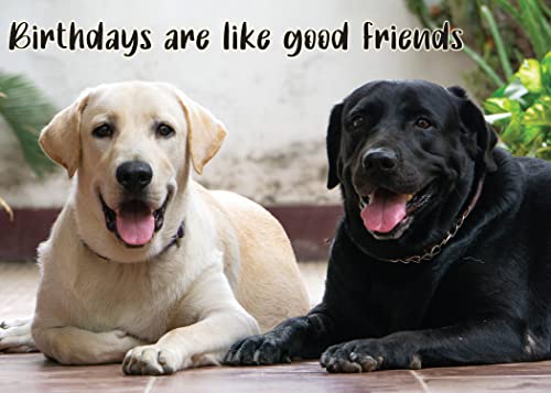 Good Friends
