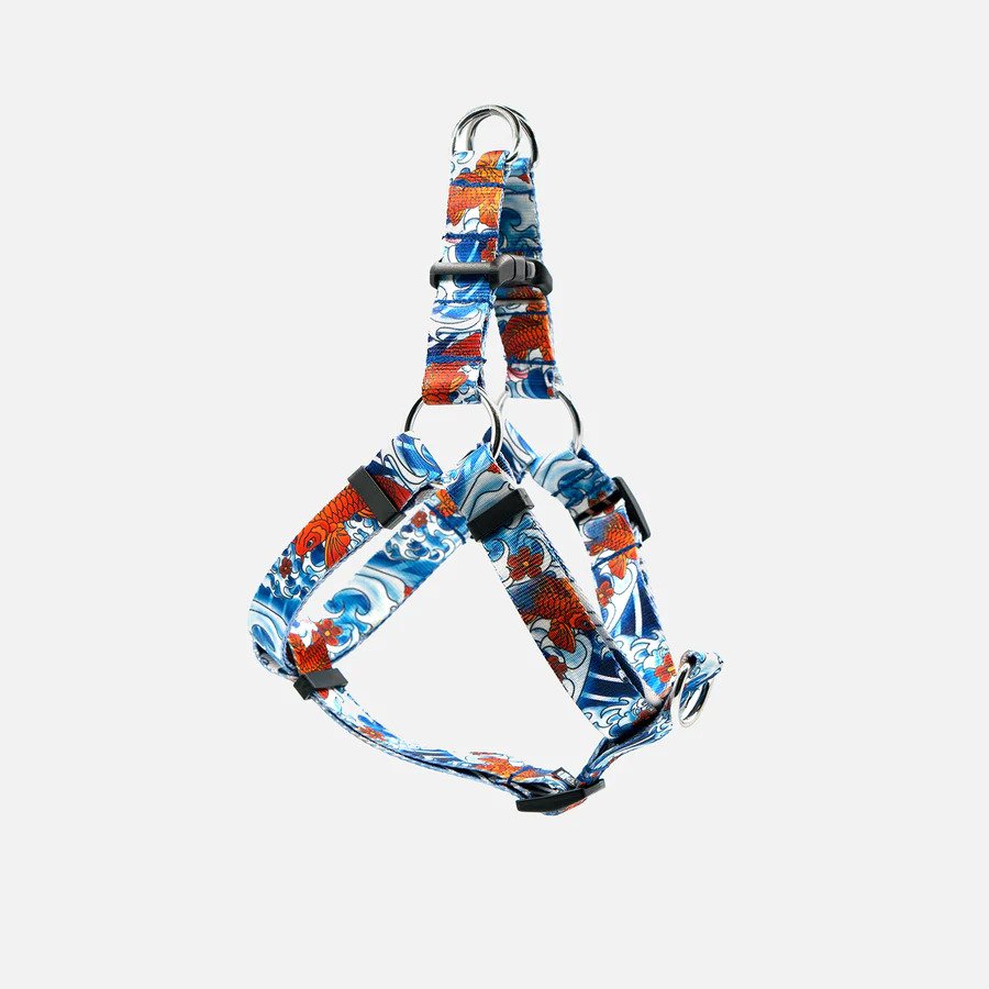 Koi