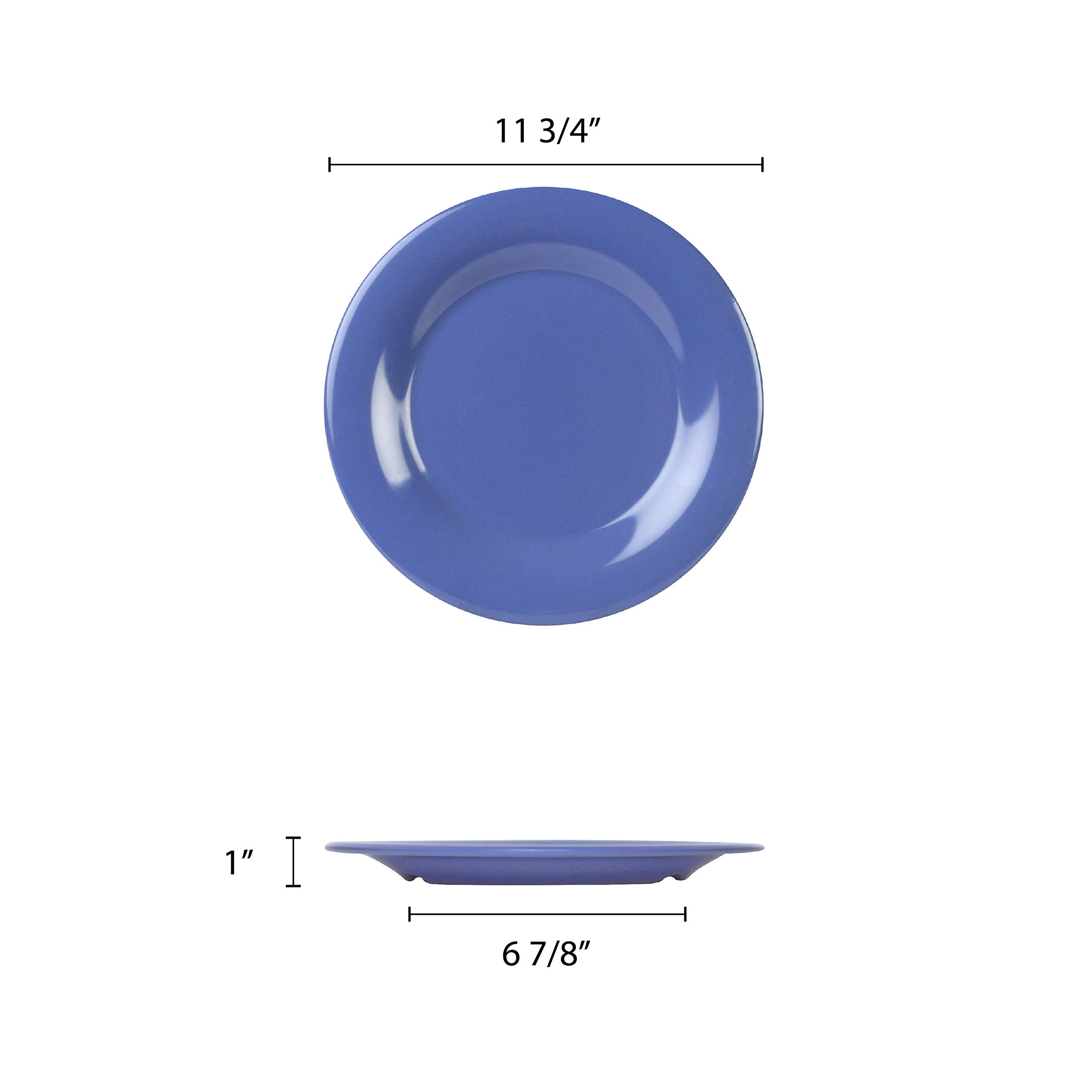 Purple Melamine Dinnerware Set - 12 Inch Wide Rim Round Plates (Set of 12) - Durable & Lightweight for Outdoor Dining, Picnics, and Party Serving