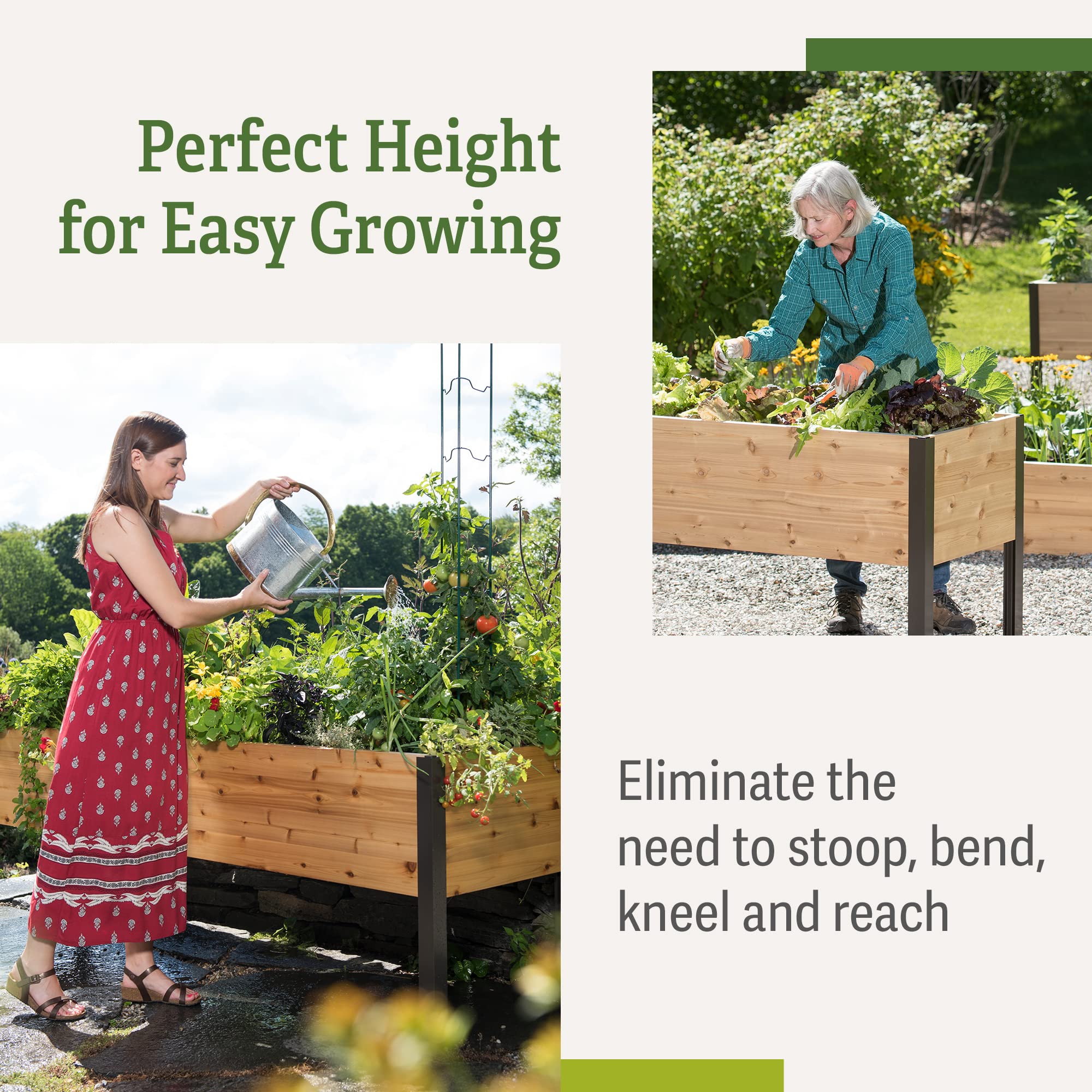 Premium Cedar Raised Garden Bed 2' x 8' - Heavy Duty Standing Planter Box with Reinforced Aluminum Corners for Vegetables, Flowers & Outdoor Plants | Perfect for Patio, Backyard & Urban Gardening | Durable Elevated Design for Easy Planting & Maintenance