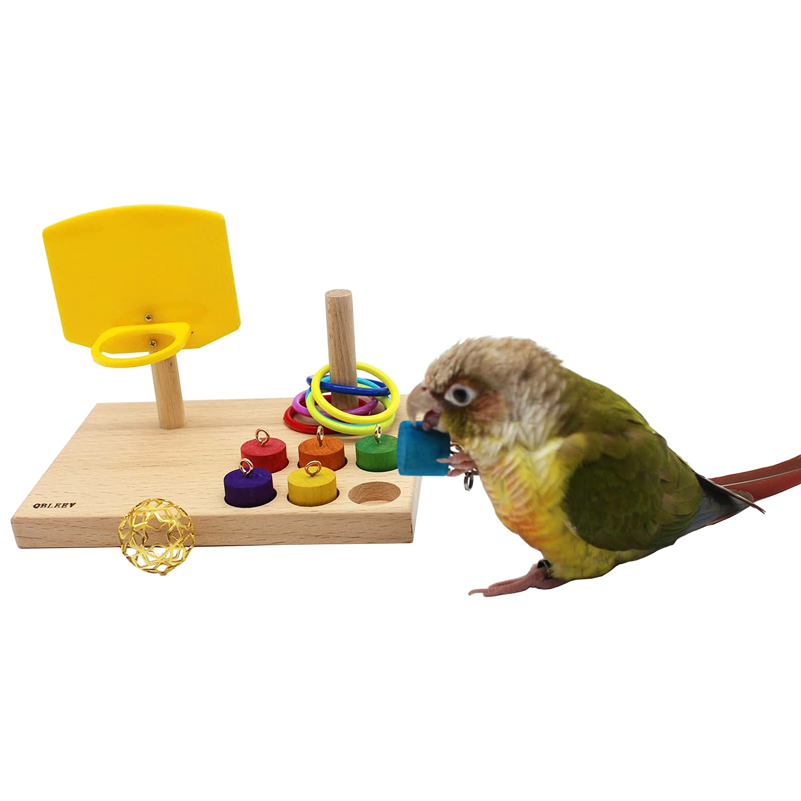 QBLEEV Bird Toys for Budgies & Parrots - Training Basketball, Stacking Color Rings, Chew Ball & Foraging Toys - Interactive Pet Play Gym & Cage Activity Toys for Mental Stimulation & Fun Playtime