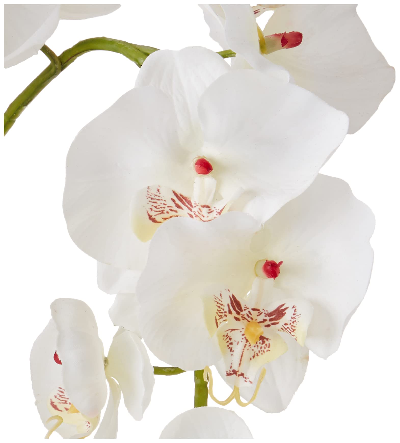 Nearly Natural 4643-WH White Phalaenopsis Silk Flower Arrangement with Glass Vase - 29
