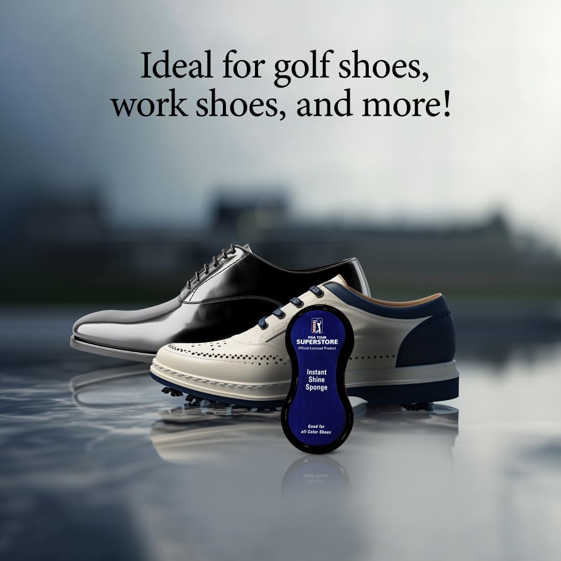Rochester Instant Shine Shoe Polish - Quick & Easy Shoe Cleaner for Leather, Suede & Nubuck - Perfect for Office, Travel & Everyday Shoe Care