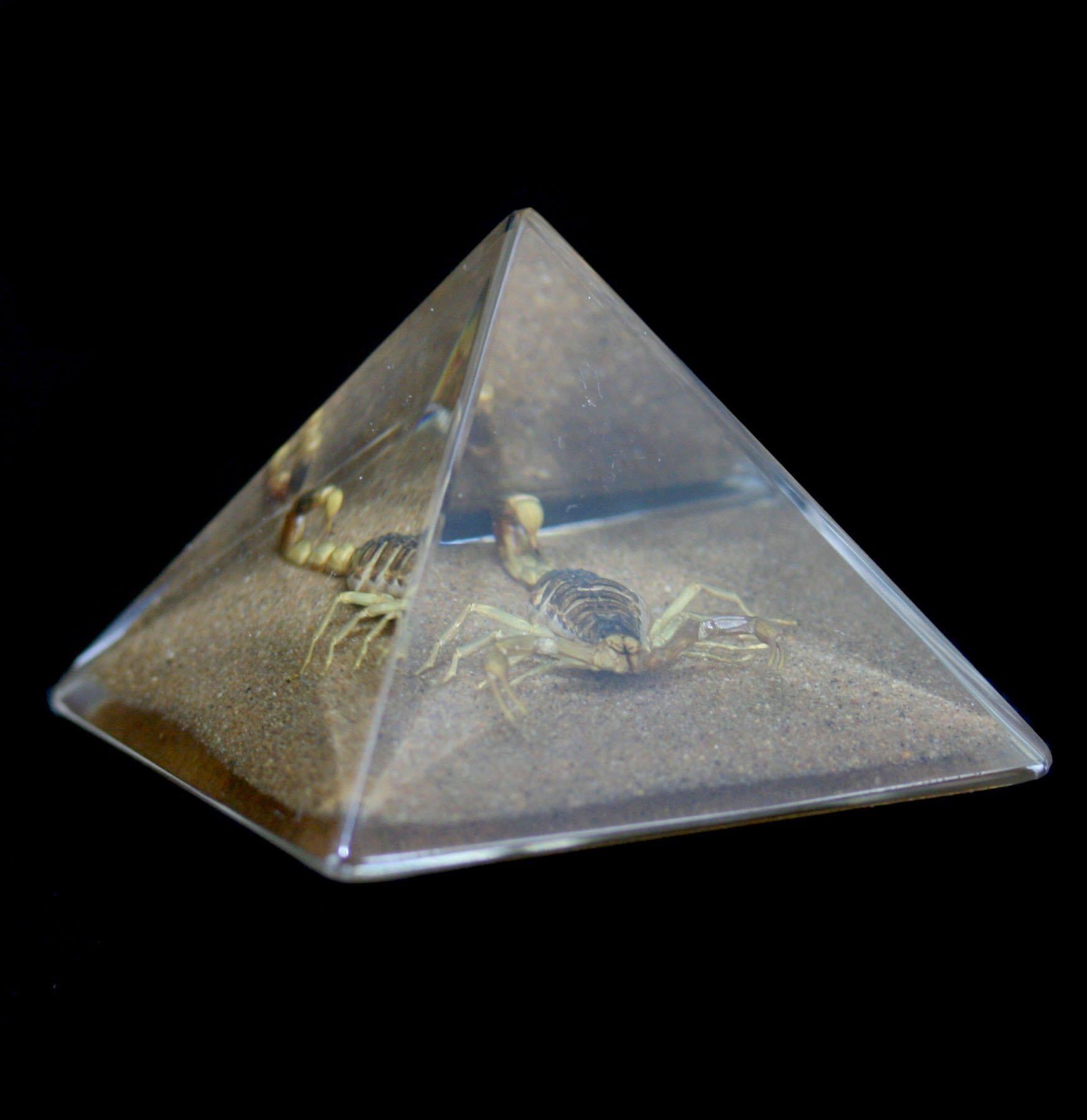 Gold Scorpion in Pyramid Pendant Necklace - Elegant Jewelry for Men & Women - Perfect for Gifts, Parties, and Fashion Accessories
