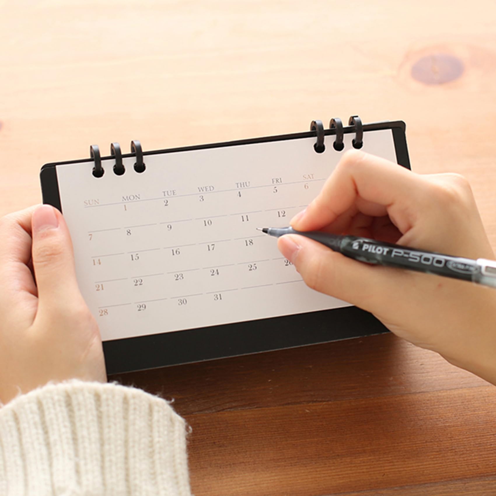 2025 Mini Desk Calendar - 6.9