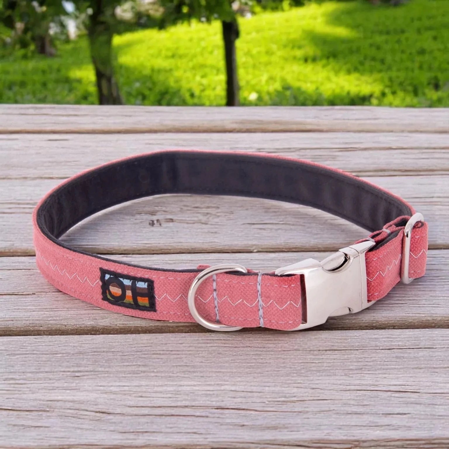 Eco-Friendly Soft Fit Adjustable Dog Collar - Comfortable & Durable Pet Collar for Small Medium Large Dogs | Multiple Colors | Perfect for Walking, Training & Outdoor Adventures