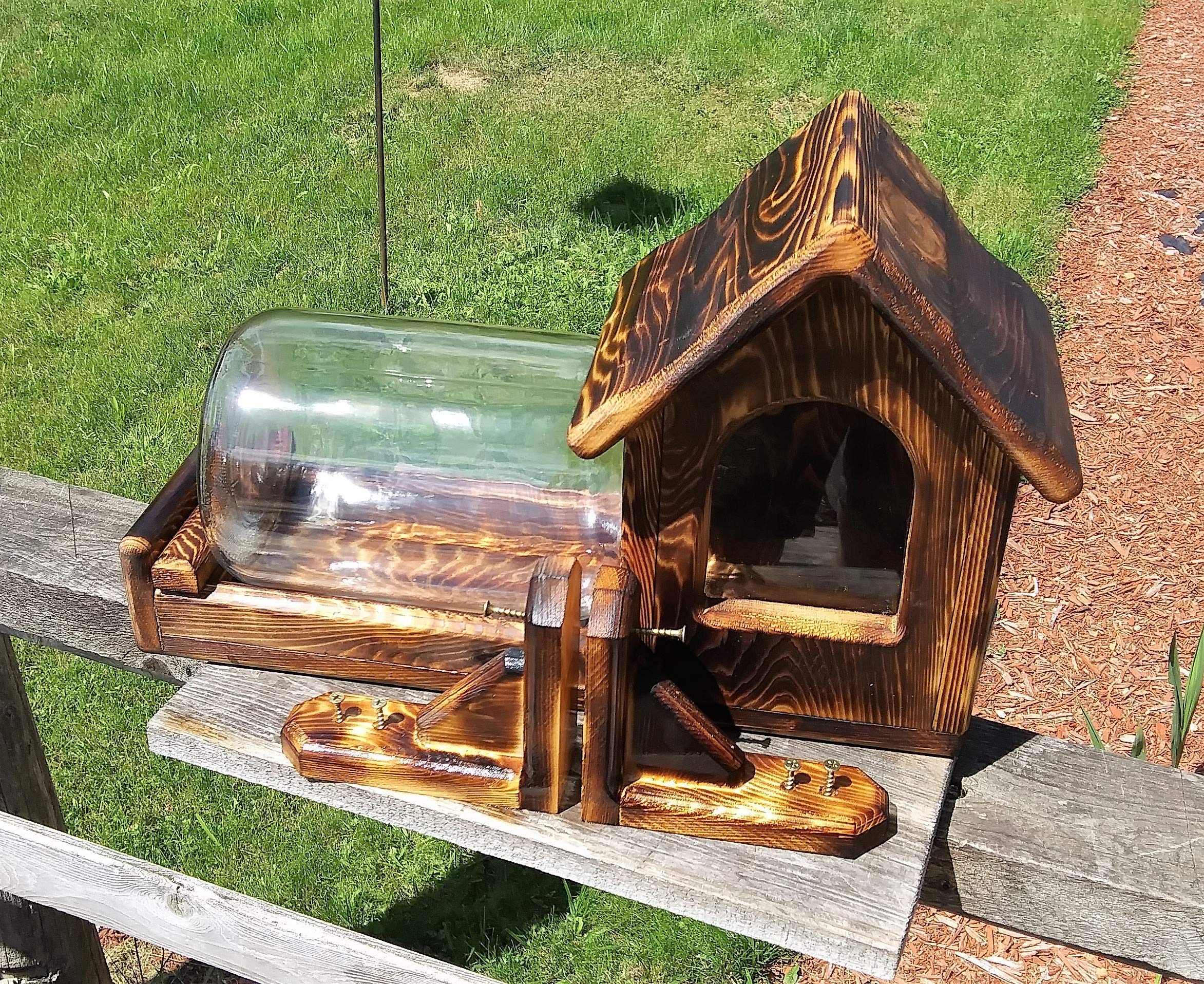 Cedar Wood Squirrel Feeder - Gallon Glass Jar with Fence Mount - Outdoor Wildlife Feeding for Backyard, Garden & Patio
