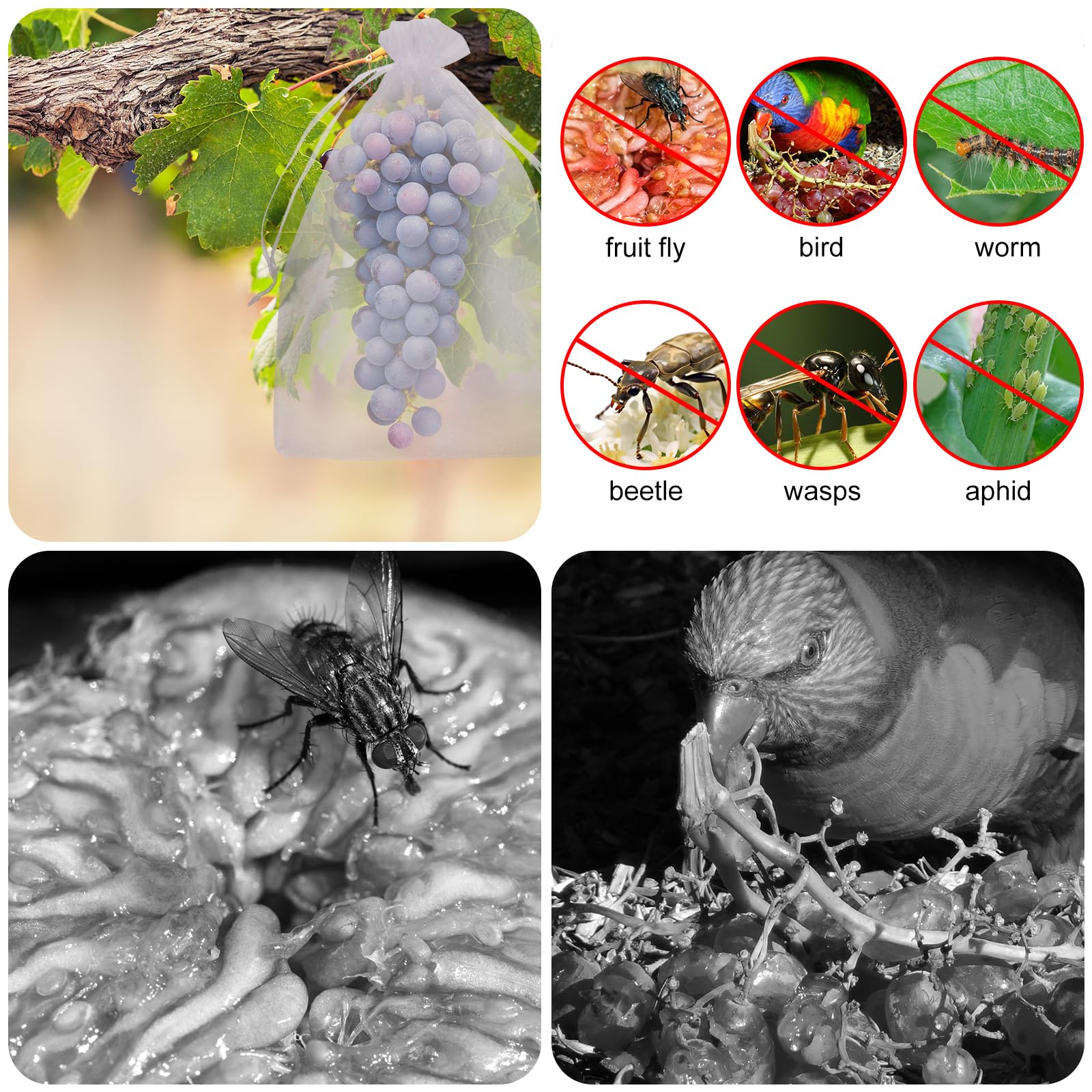 SumDirect 100PCS 8×12 Inch Large White Garden Mesh Bags with Drawstring - Breathable Fruit Protection Bags, Pest Barrier Netting Covers for Grapes, Apples, Peaches - Perfect for Home Gardening & Organic Fruit Protection
