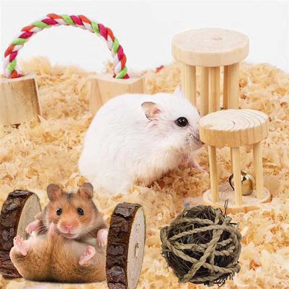 21PCS Natural Wooden Hamster Chew Toys Set - Teeth Care & Exercise Toys for Guinea Pigs, Rabbits, Syrian Rats, Chinchillas, Gerbils - Small Pet Dental Health & Play Accessories for Cage Enrichment