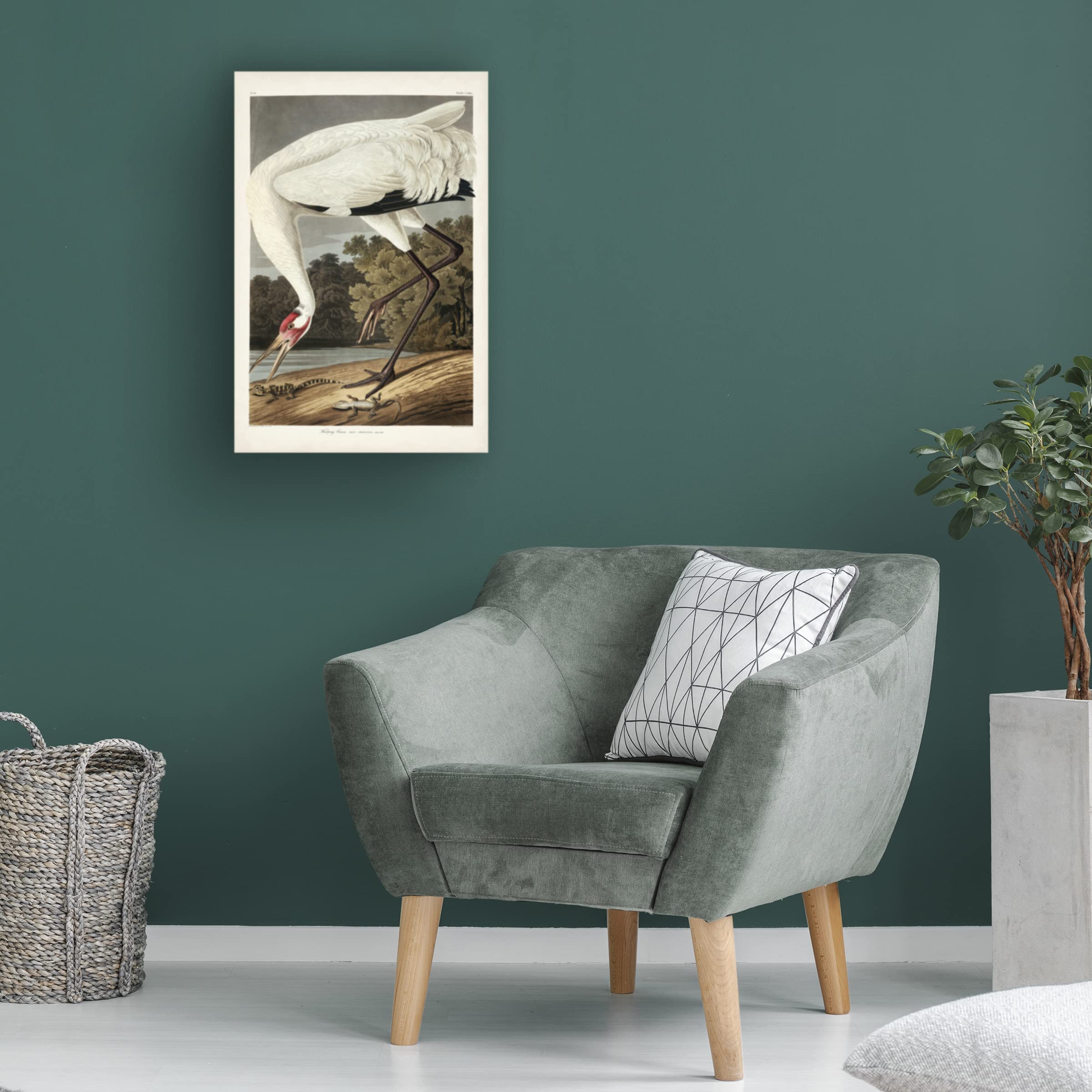 Trademark Fine Art 'Hooping Crane' Canvas Wall Art by John James Audubon - 22x32 Inches - Nature Inspired Decor for Living Room, Bedroom & Office