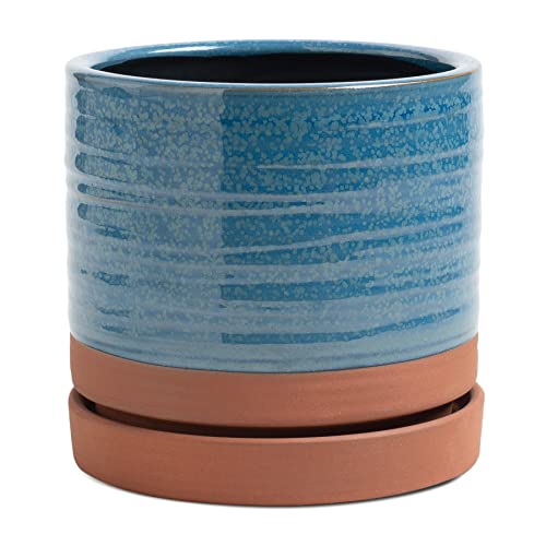 Aqua Blue & Terracotta Red