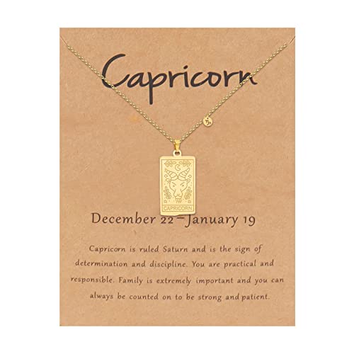 Capricorn