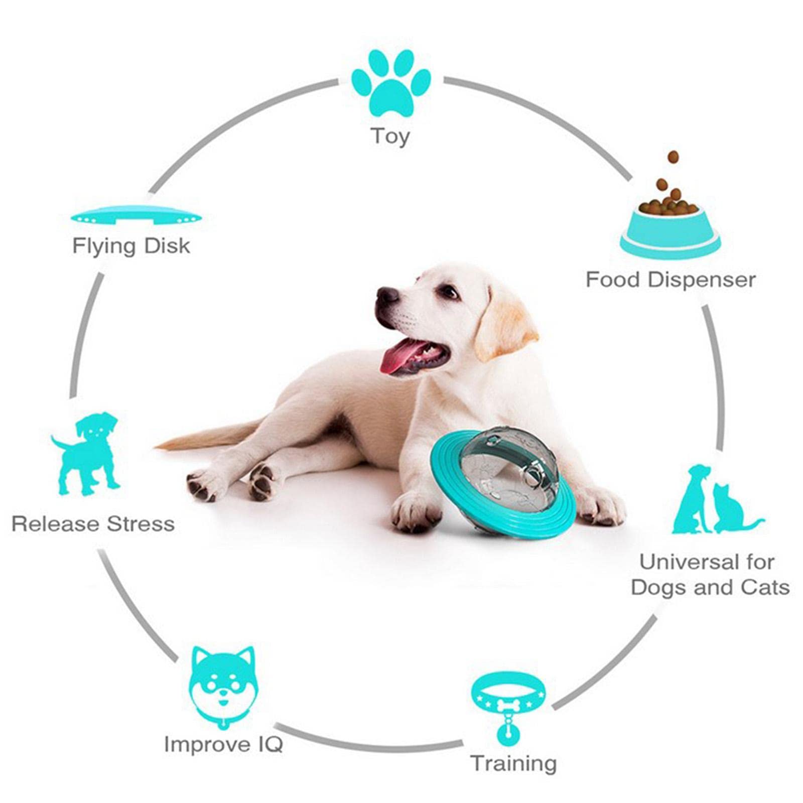 Lyla Slow Feeder Dog Bowl - No Spill Anti-Choking Puzzle Food Dispenser for Small & Large Dogs - Blue Pet Feeding Bowl for Mealtime Fun & Mental Stimulation - Perfect for Fast Eaters & Bored Dogs