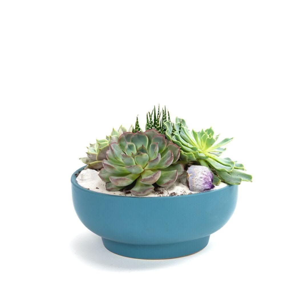 Antique Teal Crystal Succulent Garden Planter - Handmade Glass Terrarium for Succulents, Air Plants & Home Decor - Perfect for Windowsills, Office Desks & Wedding Centerpieces
