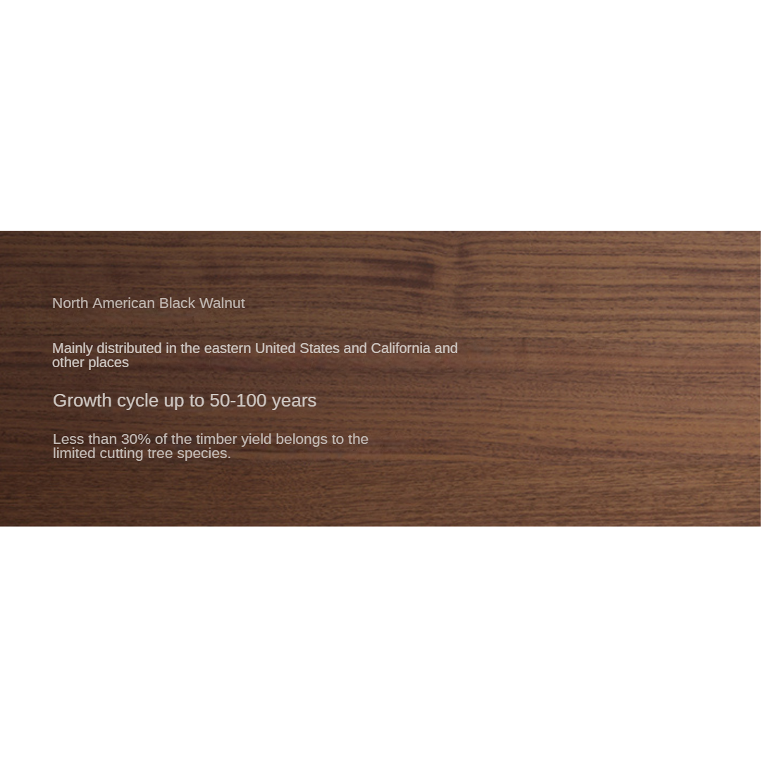 Premium Black Walnut & Oak Solid Wood Bookcase - Modern Storage Cabinet for Living Room, Office & Library - Handcrafted Wooden Bookshelf with Adjustable Shelves