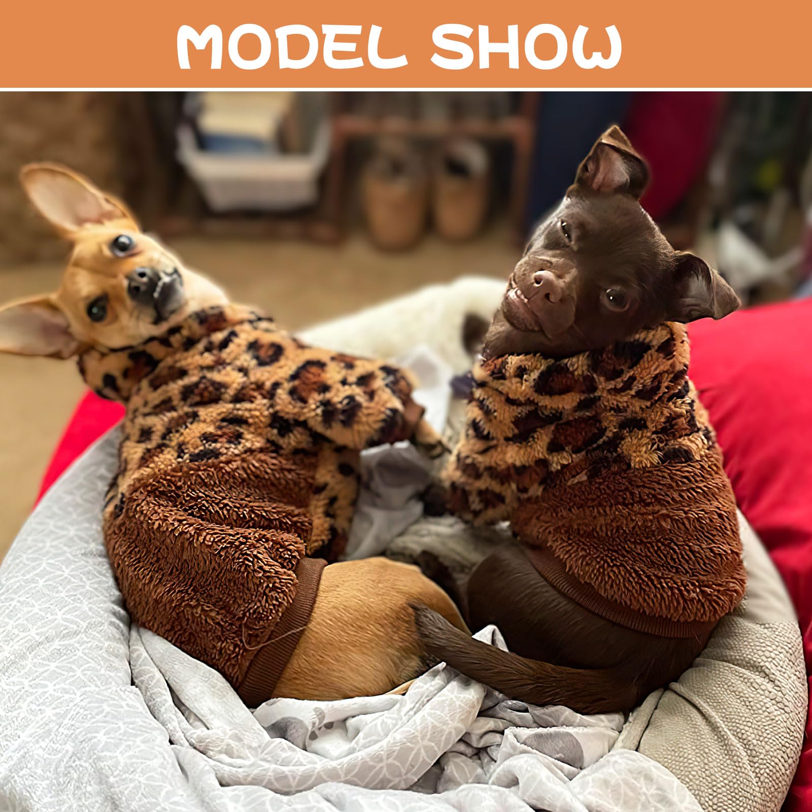 XXS Dog Sweater for Small Dogs - Cute Chihuahua Clothes & Christmas Outfit | Perfect for Holiday Photos, Winter Walks & Pet Parties
