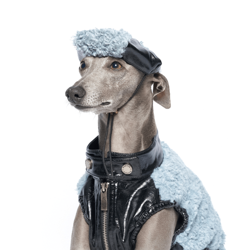 Stylish Oceania Dog Beret - Fashionable Pet Hat for Small & Medium Dogs - Perfect for Parties, Photos & Outdoor Adventures