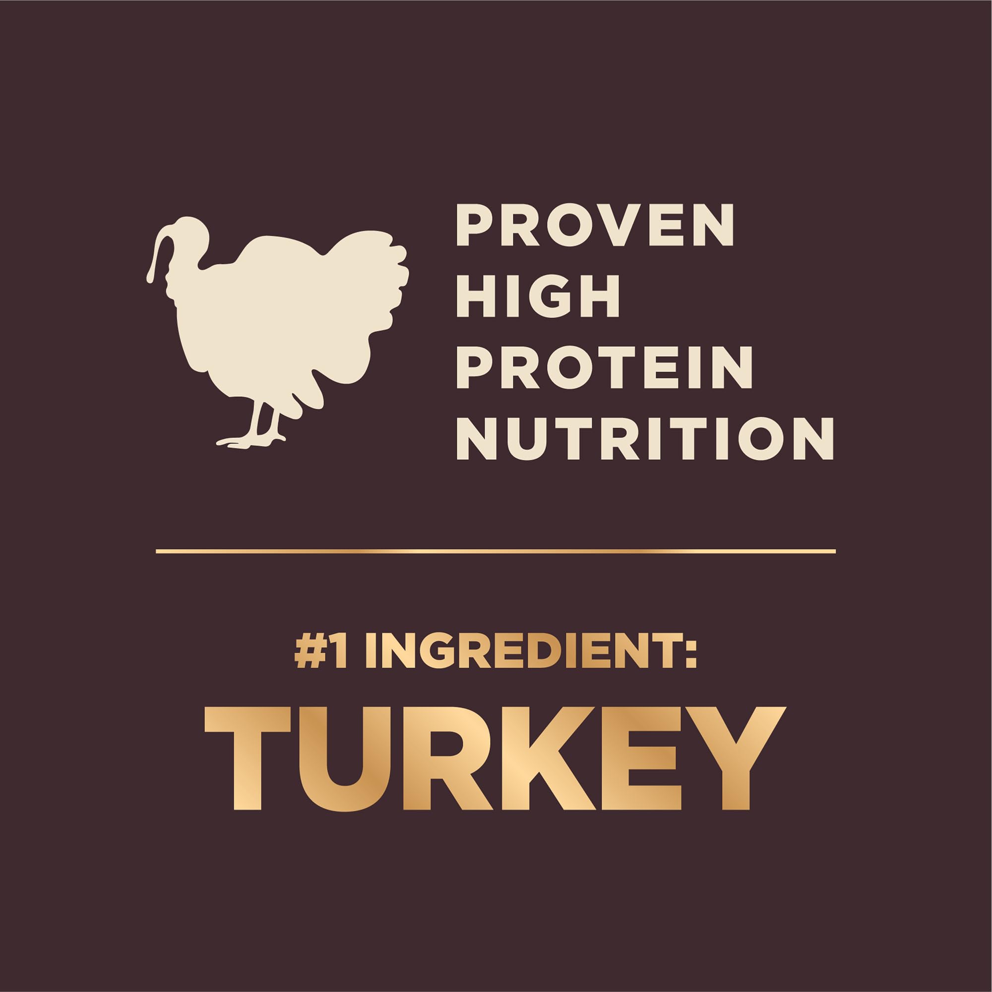 Wellness CORE+ Small Breed Dry Dog Food with Freeze-Dried Turkey & Chicken - High Protein, Natural Recipe with Wholesome Grains - 4lb Bag for Active Small Dogs - Perfect for Daily Meals, Training Treats & On-the-Go Nutrition