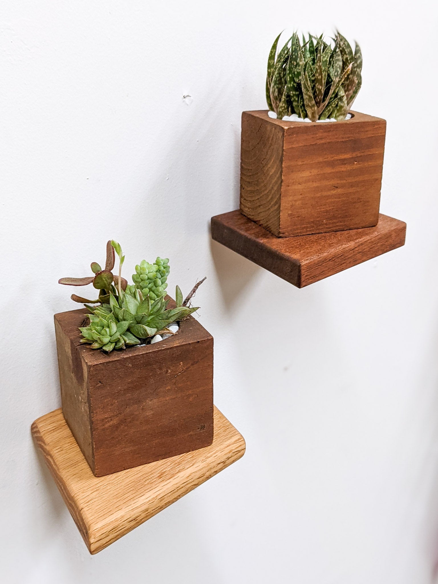 Stylish Oak Rhombus Display Shelf - Perfect for Home Decor, Books & Collectibles | Small Wall Shelf for Living Room, Bedroom & Office