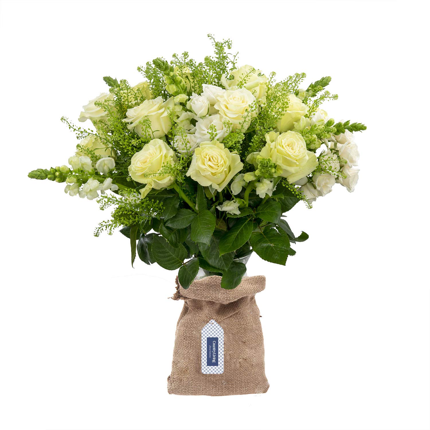 Premium White Roses Bouquet - 2 Dozen Fresh Flowers with Vase | Country Living Floral Collection | Perfect Mother's Day Gift, Wedding Centerpiece & Home Decor