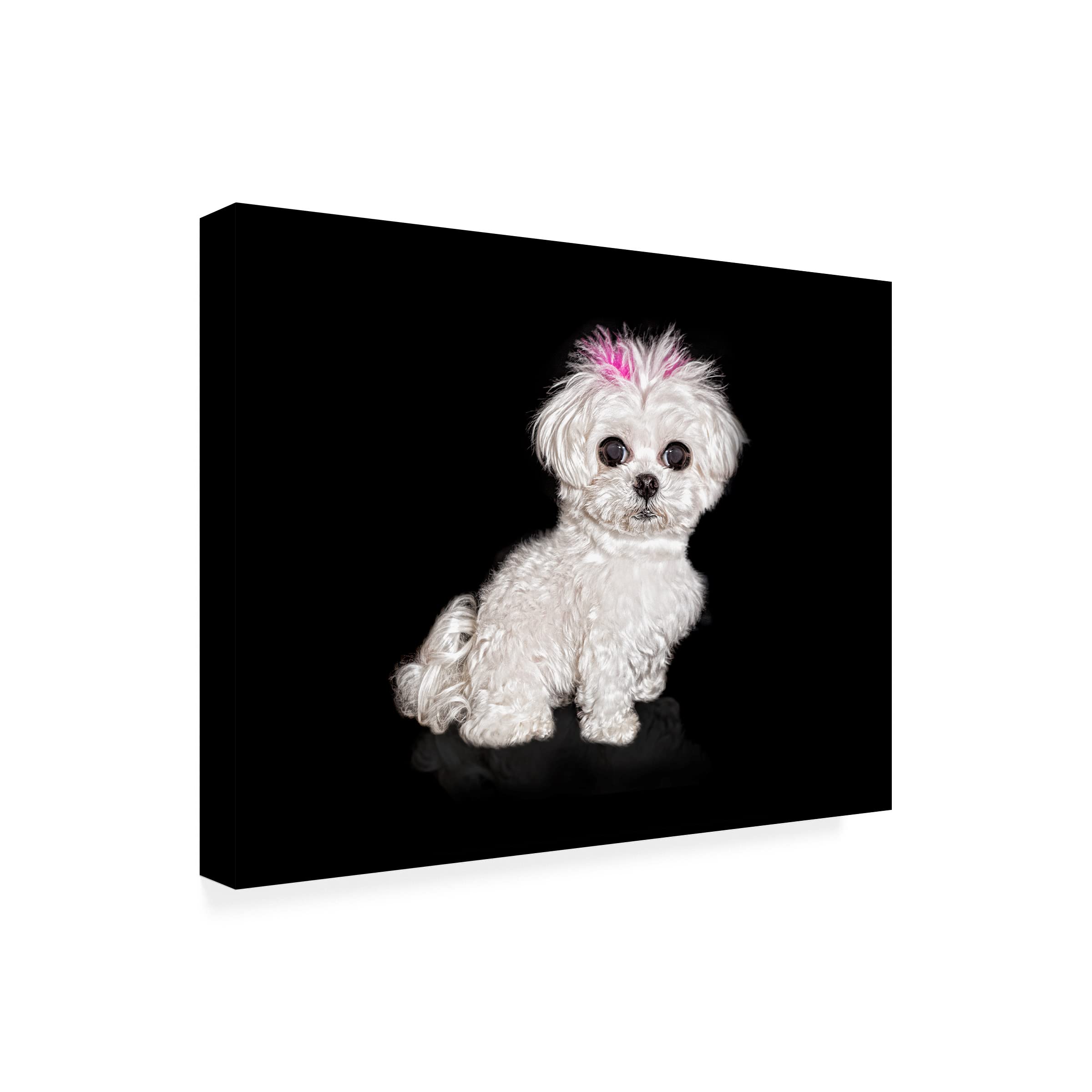Trademark Fine Art 'Gucci' Canvas Wall Art by Lori Hutchison - Luxury Home Decor for Living Room, Bedroom & Office