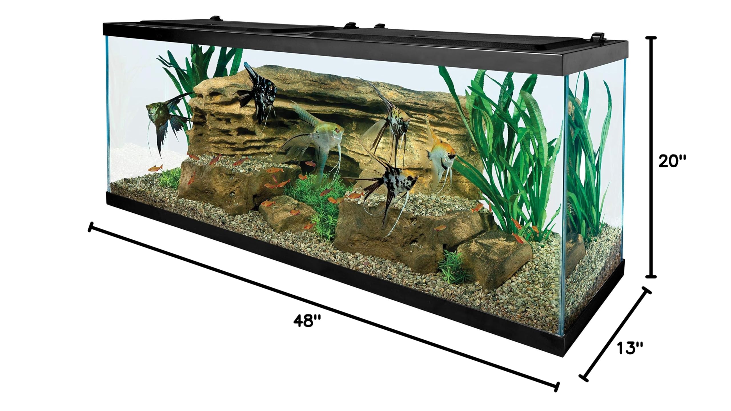55 Gallon Tetra Glass Aquarium - Rectangular Fish Tank for Freshwater & Saltwater (NV52018) - Perfect for Home, Office & Classroom Aquascaping