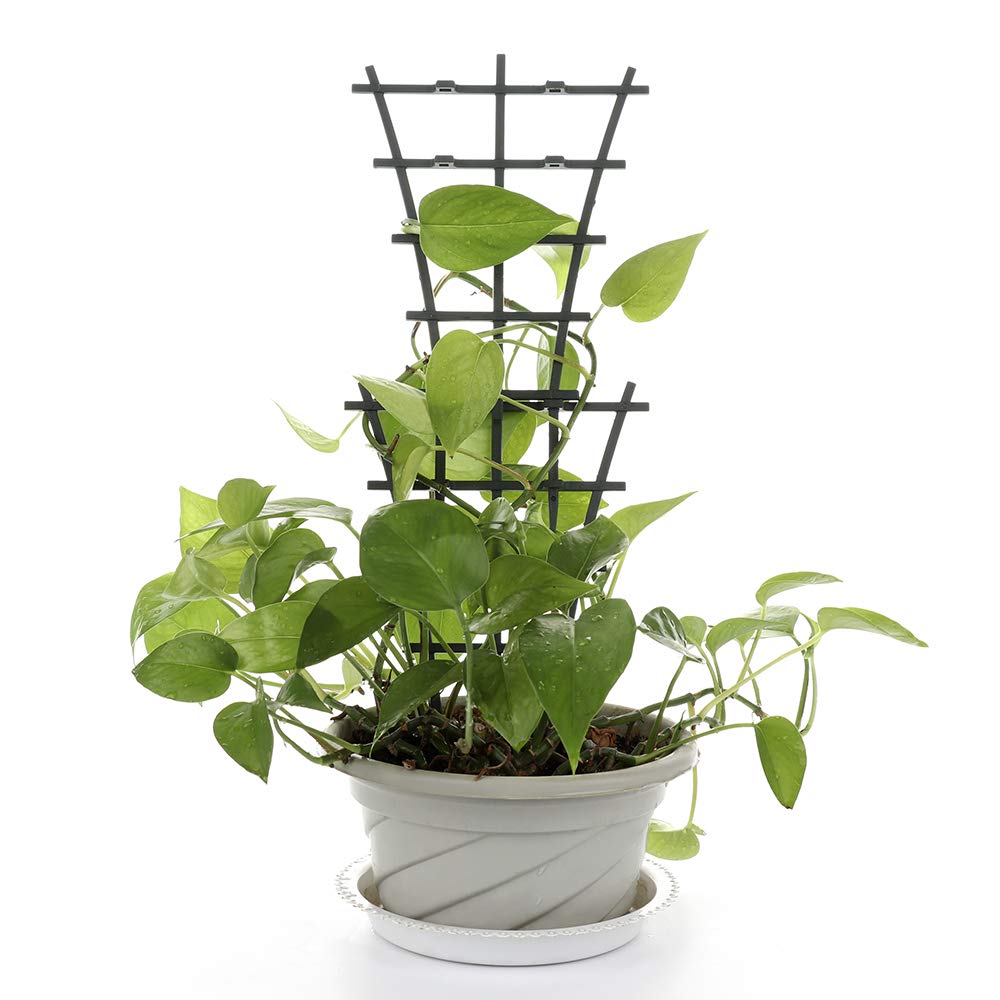 12-Pack DIY Mini Climbing Trellis for Potted Plants - Flower Support Cage for Vines & Climbing Plants | Indoor/Outdoor Garden Accessories for Roses, Cucumbers & Hanging Plants