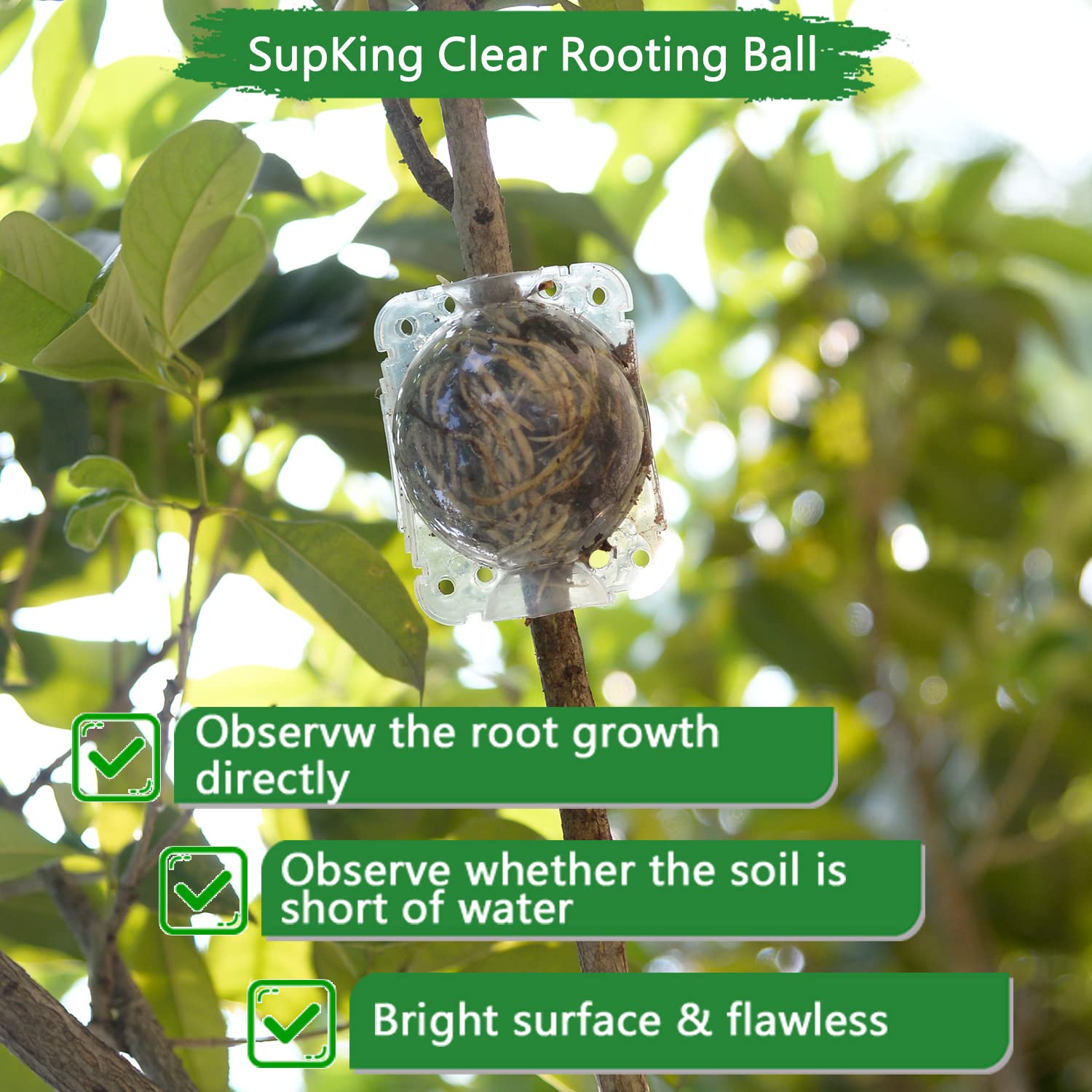 8 Pcs Air Layering Pods - Transparent Plant Rooting Grow Propagation Balls for Grafting & Cutting | Rooting Device for Indoor/Outdoor Plants, Gardening & Hydroponics