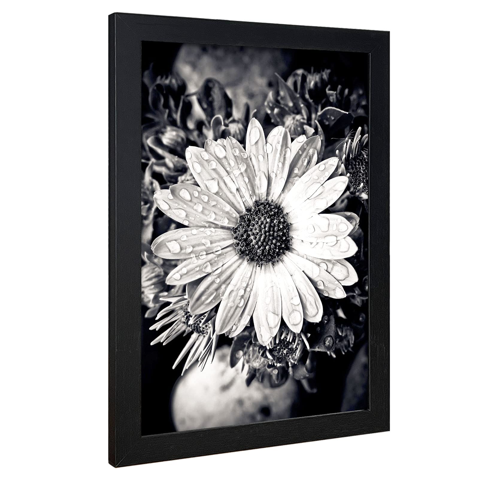 VCK 11x17 Inch Wooden Picture Frames Set - Black Certificate Frames with Wall Mounting for Home, Office & Gallery Decor | Perfect for Displaying Photos, Artwork & Diplomas