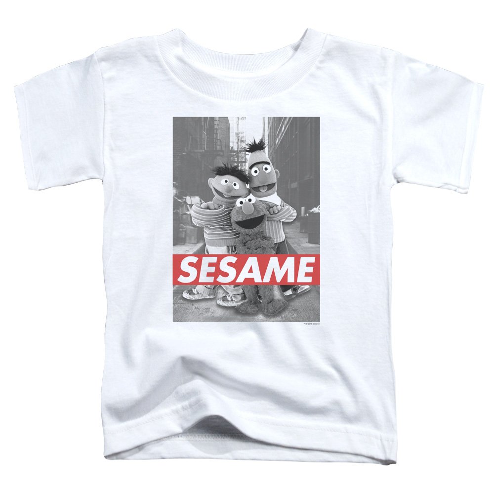 Sesame Street Boys' Cartoon Character T-Shirt - Soft Cotton Kids Tee for Casual Wear & Playtime - White