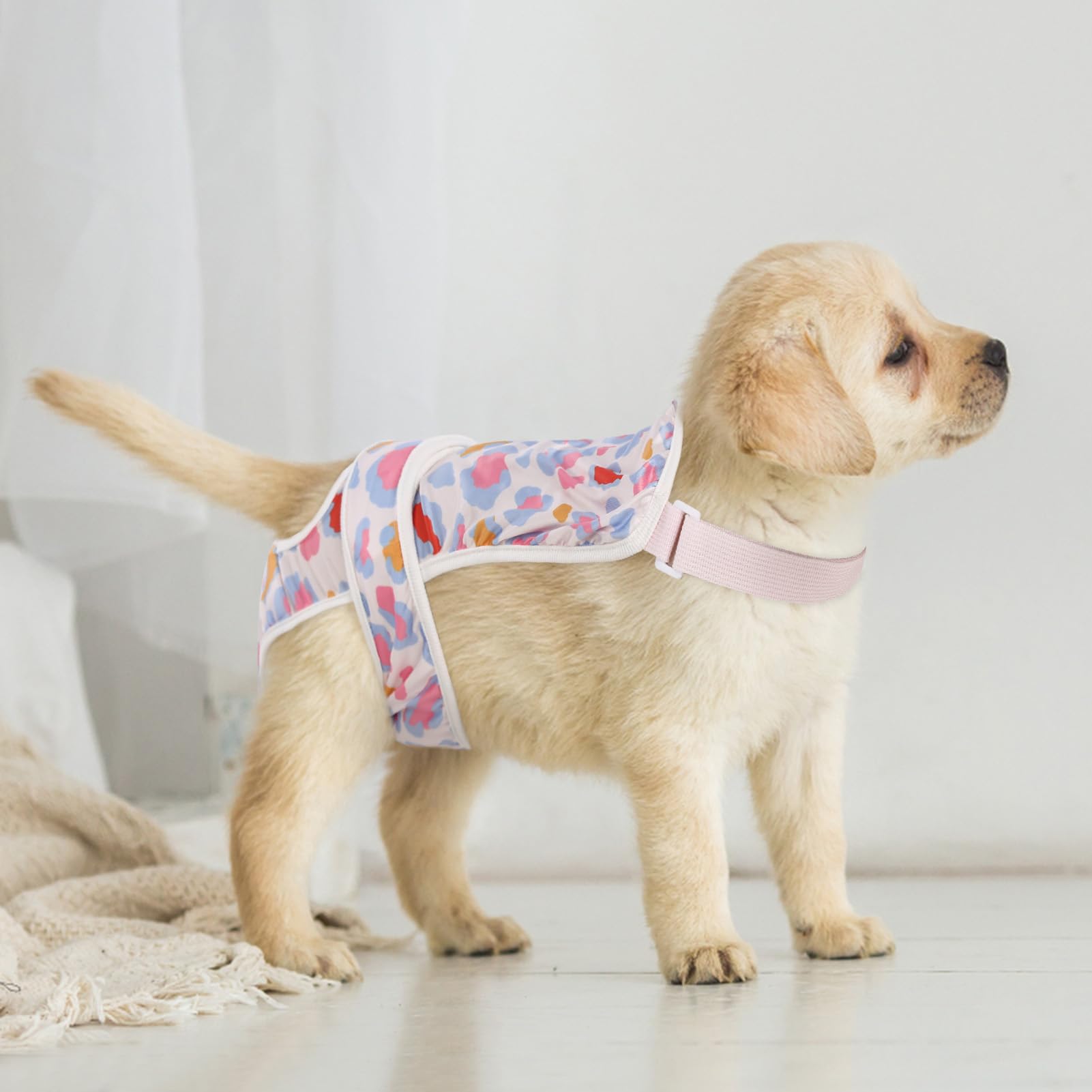ASENKU 2 Pack Washable Dog Diapers for Small Female Dogs - Perfect for Heat & Period Care
